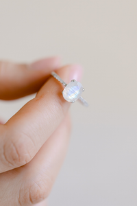 Fine Jewelry Collection