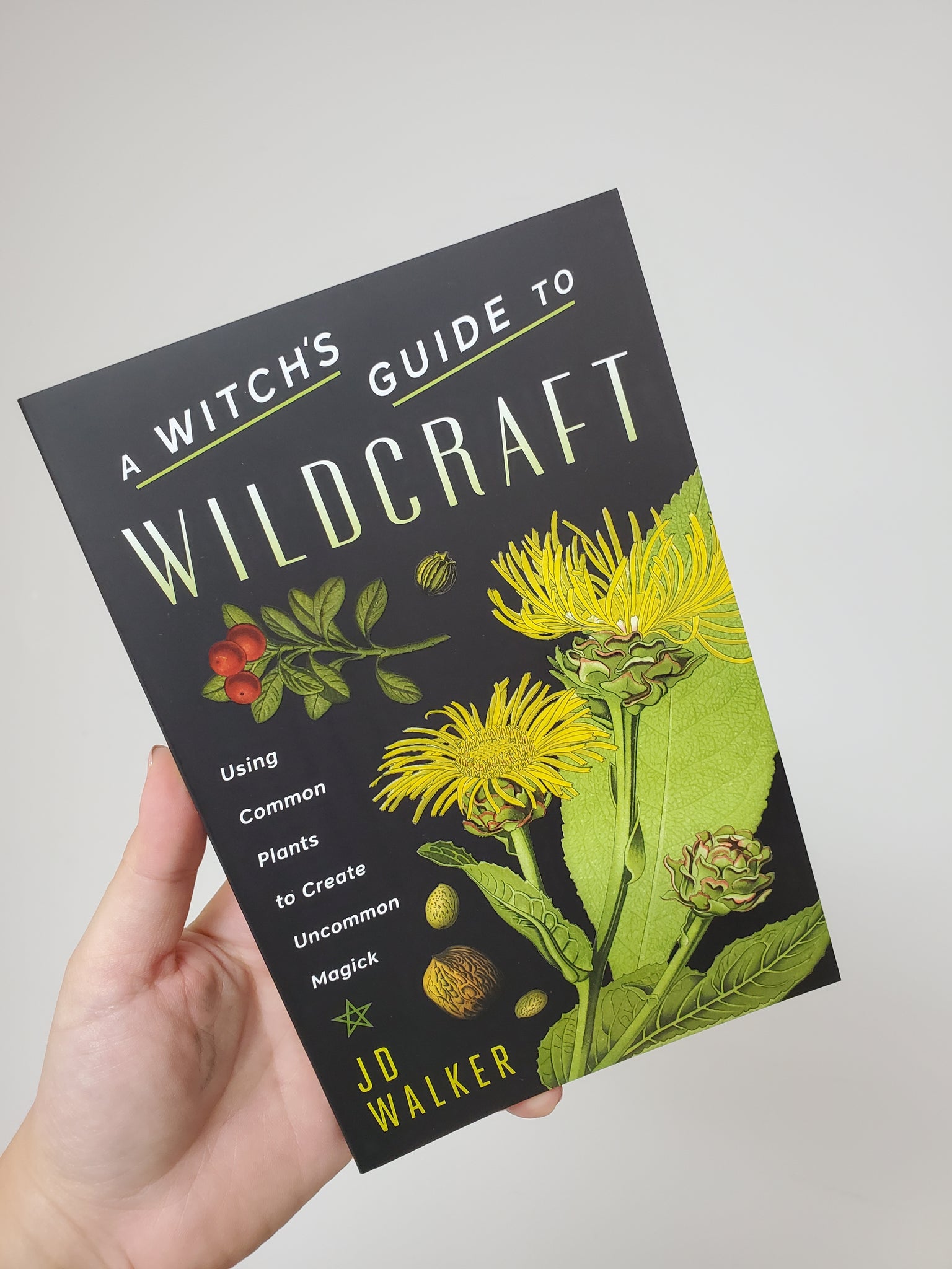 Witch's Guide to Wildcraft - Using Common Plants to Create Uncommon Magick