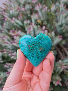 Chrysocolla Heart - Style 10