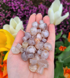 Dainty Crystal Mushroom | choose your crystal