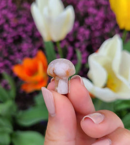 Dainty Crystal Mushroom | choose your crystal