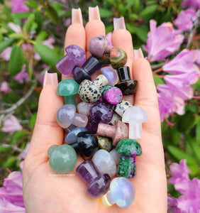 Dainty Crystal Mushroom | choose your crystal